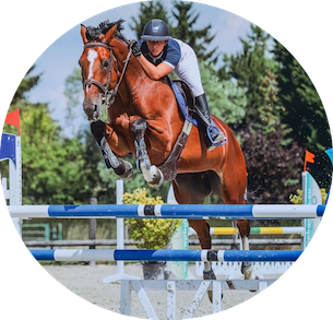 manon scanga- centre equestre mairy-mainville- lorraine- equitation audun le roman